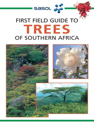 cover image of First Field Guide to Trees of Southern Africa